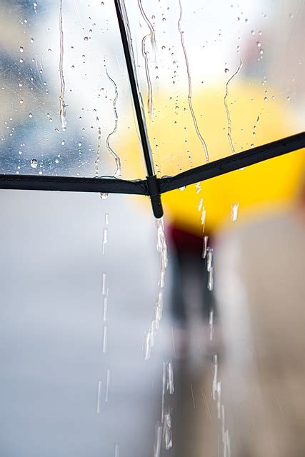 雨天圖|超过 400 张关于“下雨天”和“雨”的免费图片